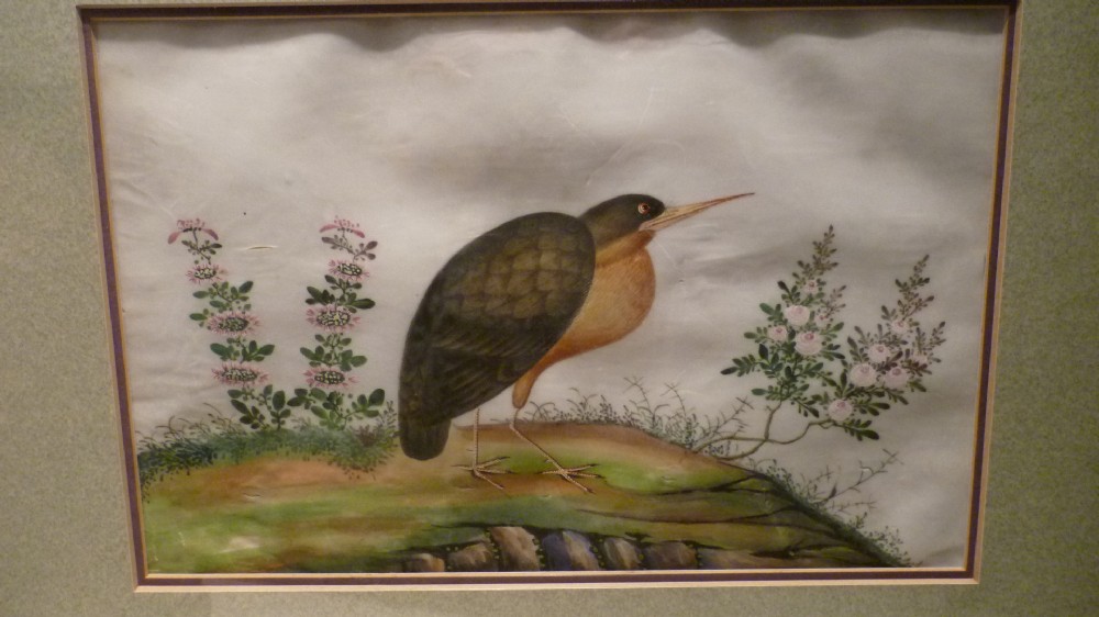 A 19th-century Chinese export watercolour on pith paper depicting a long-billed bird standing beside flowering flora.