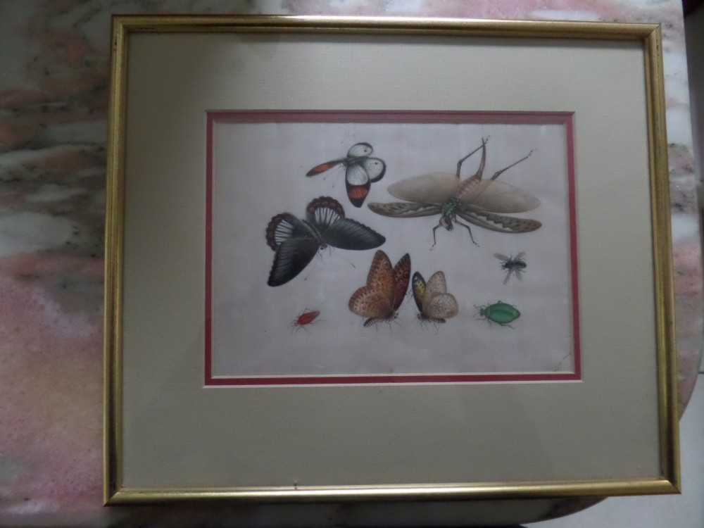Antique Chinese Rice Pith Paper Painting Butterflies & Bugs