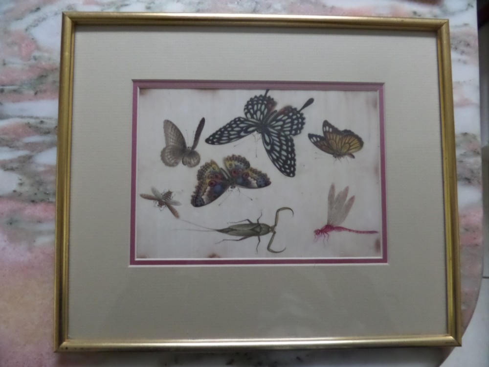Antique Chinese Rice Paper Pith Painting Dragonfly & Butterflies