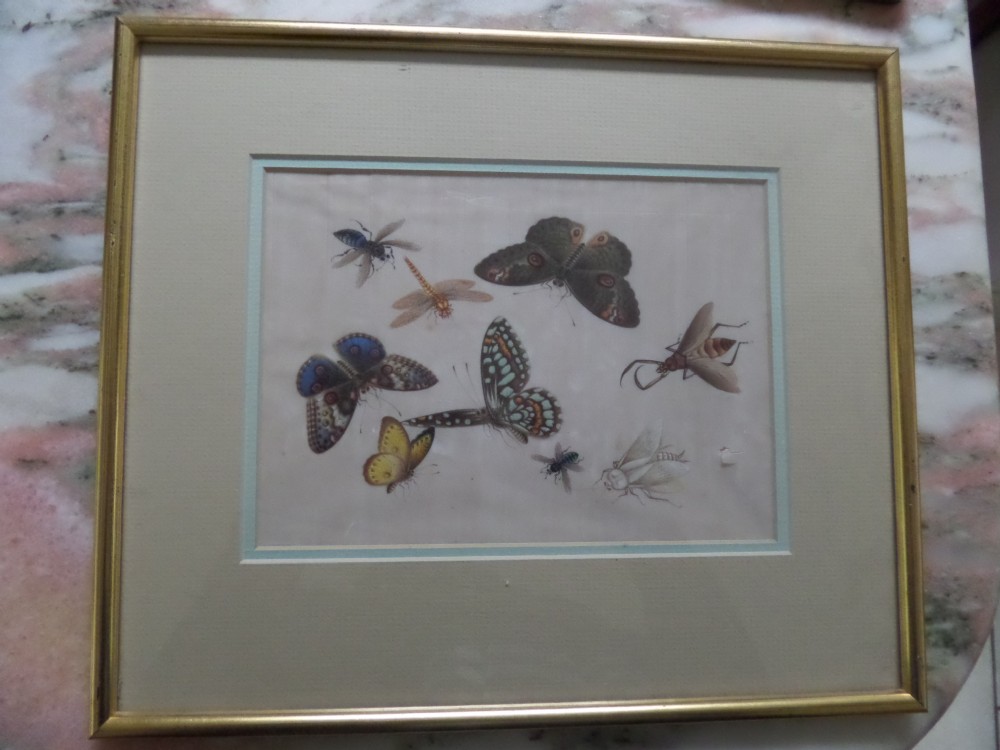 Antique Chinese Rice Pith Paper Painting Butterflies & Moths