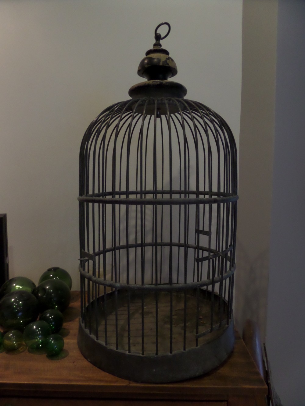 LARGE 19th Century Bird Parrot Bronze Cage Taxidermy