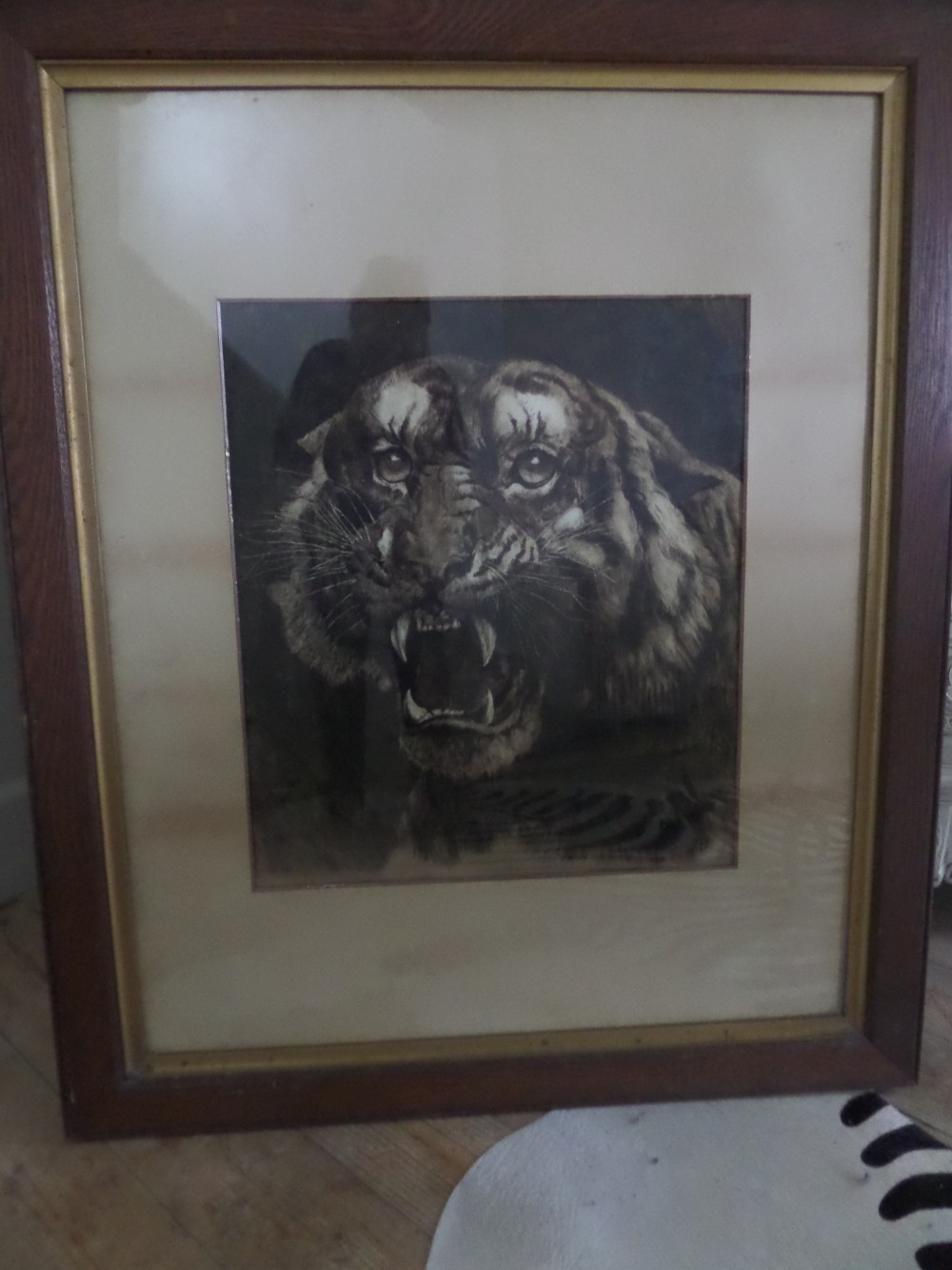 Large Painting Herbert Frank Dicksee Tiger