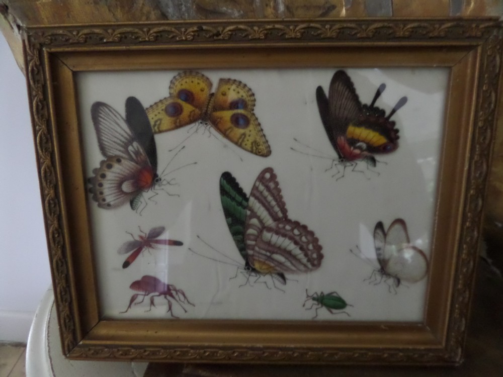 19TH CENTURY CHINESE RICE PITH PAPER PAINTING BUTTERFLIES & BUGS