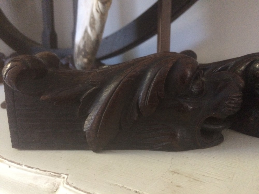 19th Century Carved Oak Dog's Head Carvings View III