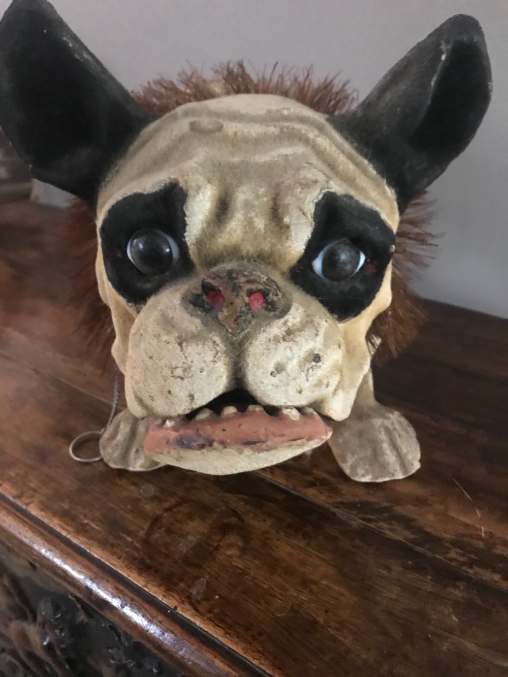 Antique French Papier Mache French Bulldog View II
