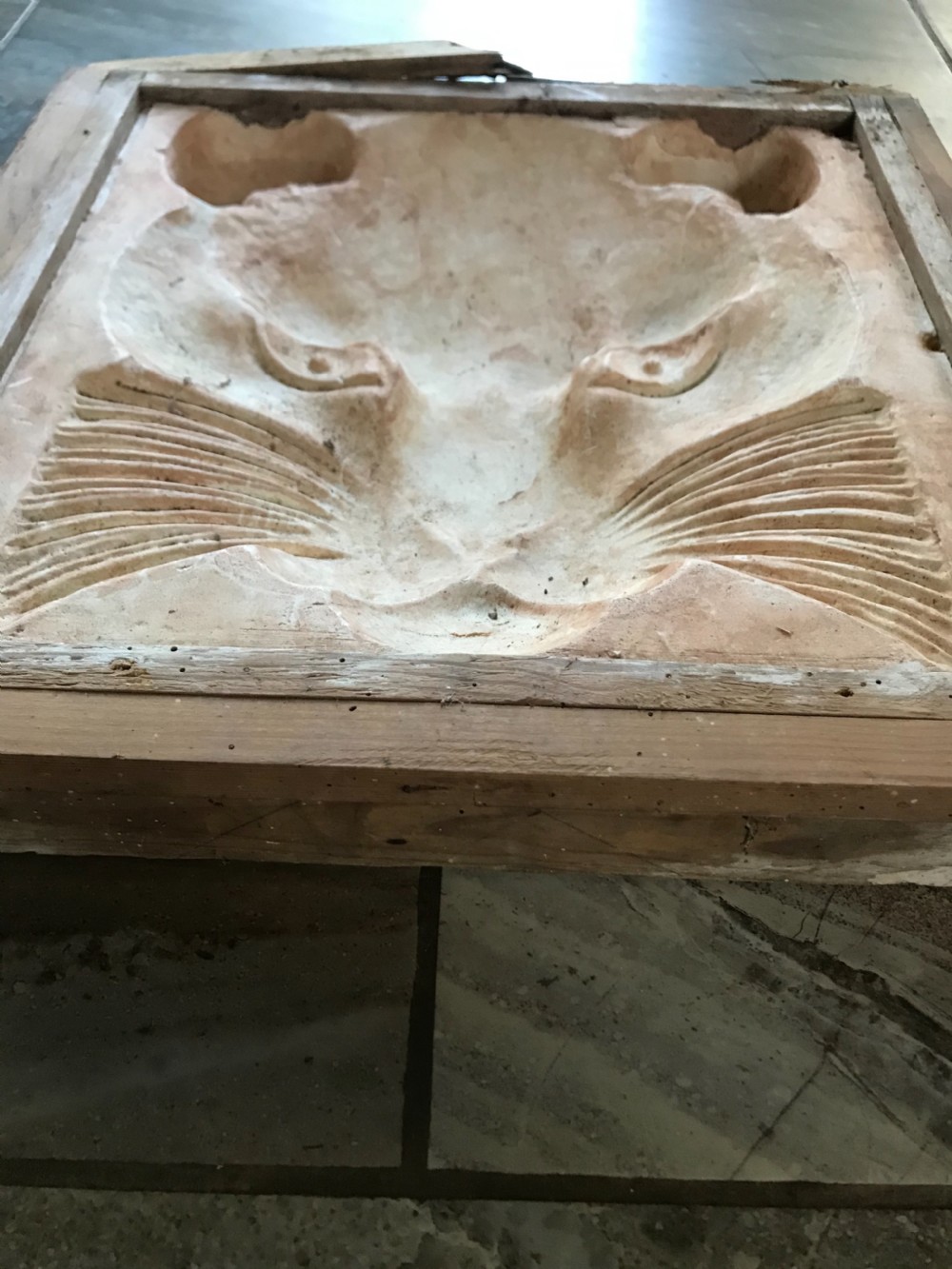 A 19th-century relief plaster mould displaying an incised carving of a cats face set within a square wooden frame. View IV
