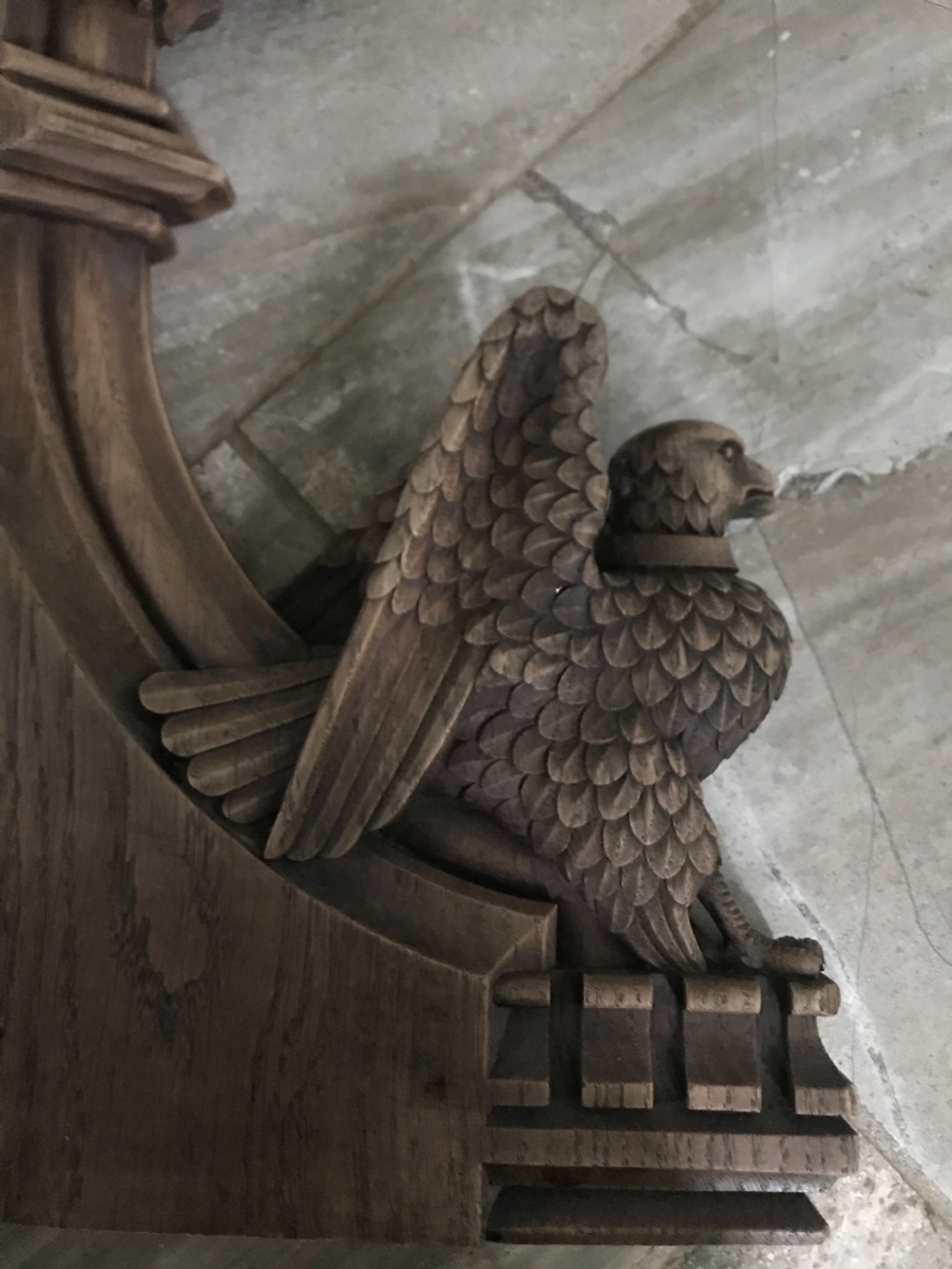 18TH CENTURY CARVED OAK GRIFFIN POPPY PANEL View VIII