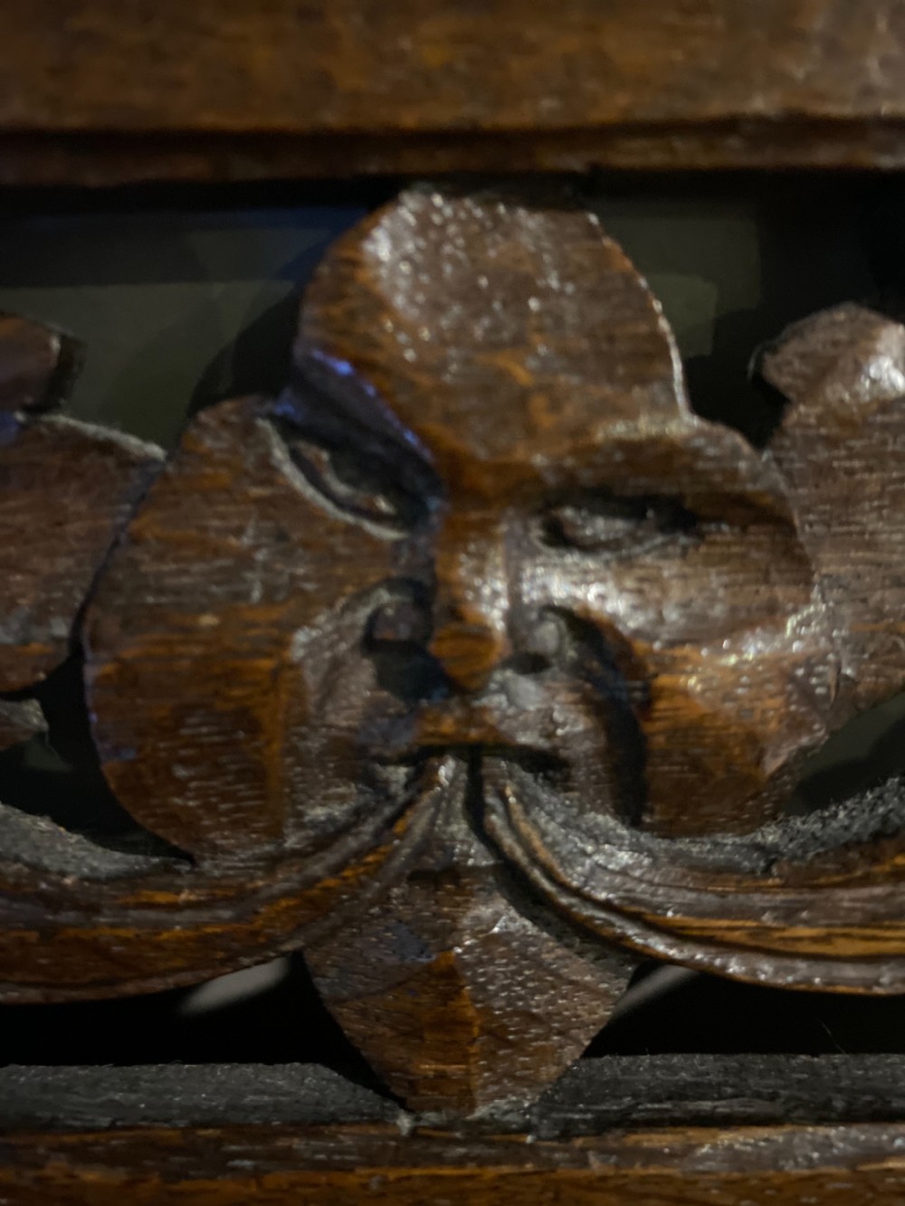 Period Oak Whimsical Pierced Carved Oak Panel View II