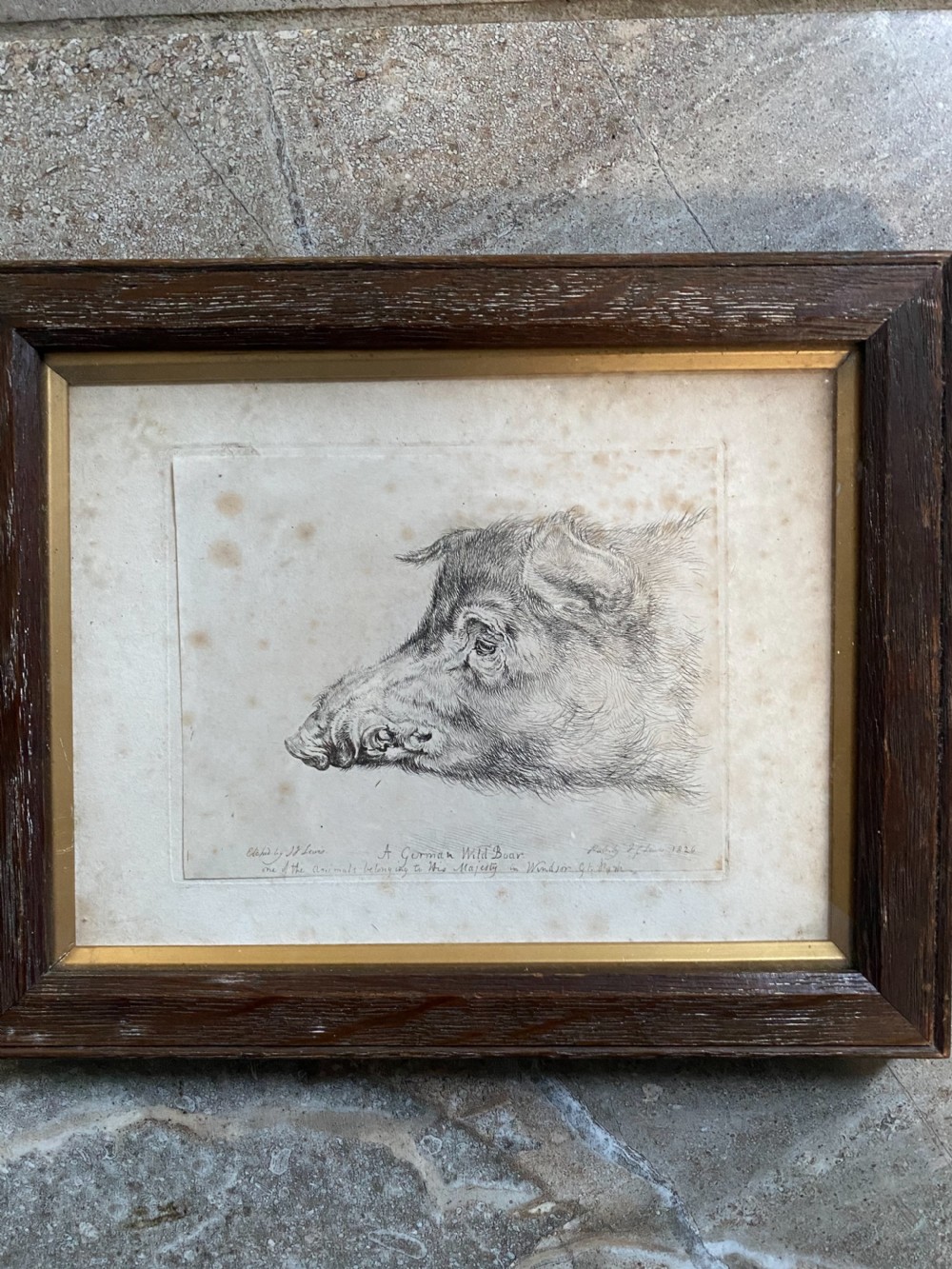 19th Century etching by John Frederick Lewis His Majesty Wild Boar