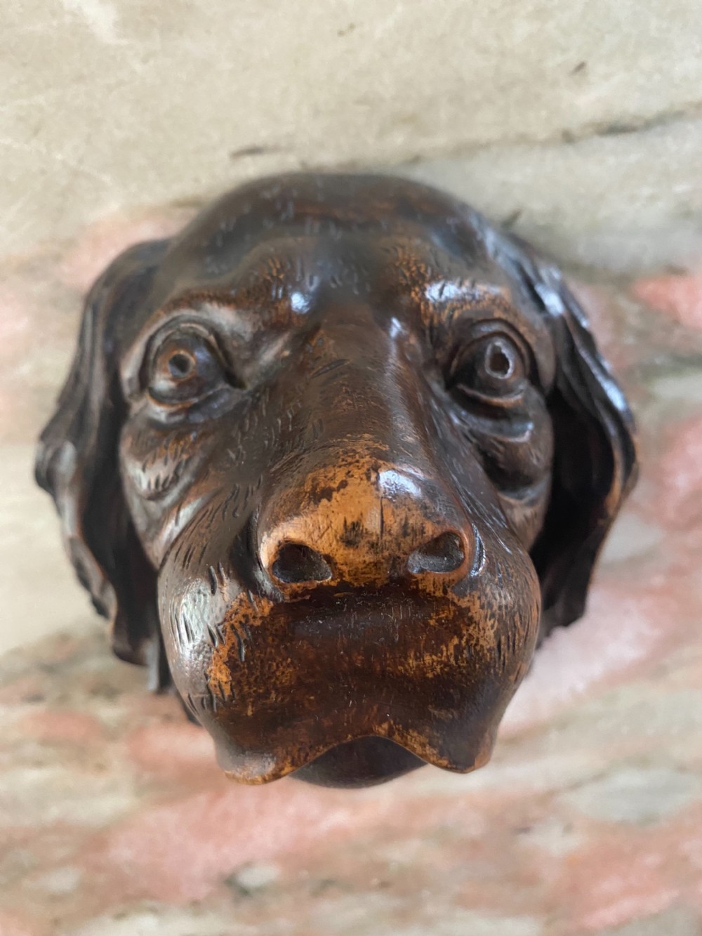 19th Century Walnut Black Forest Hunting Dog Head  View II