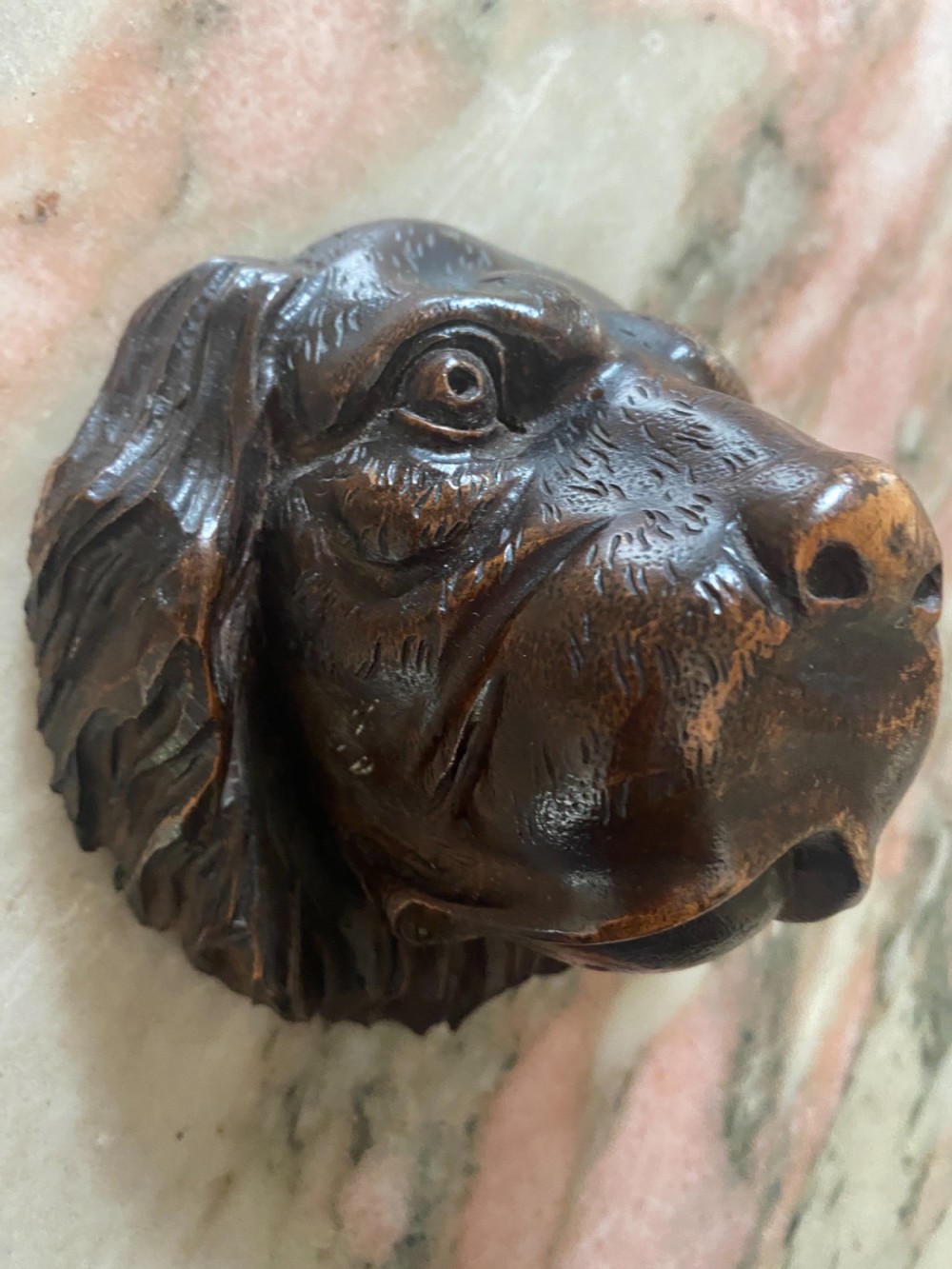 19th Century Walnut Black Forest Hunting Dog Head  View V