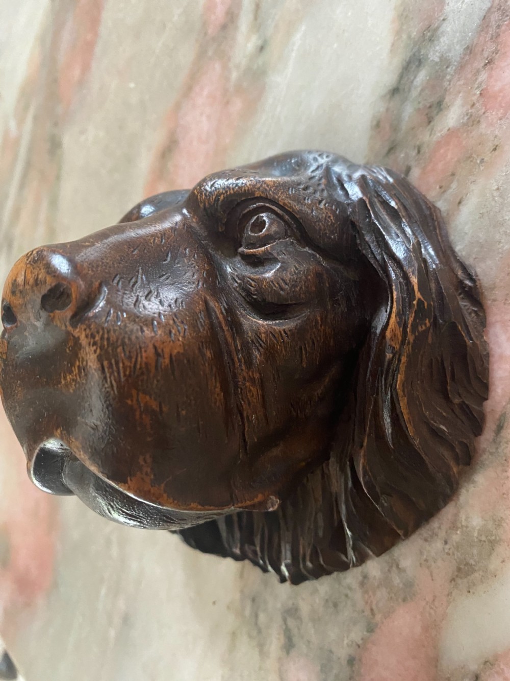 19th Century Walnut Black Forest Hunting Dog Head  View VII