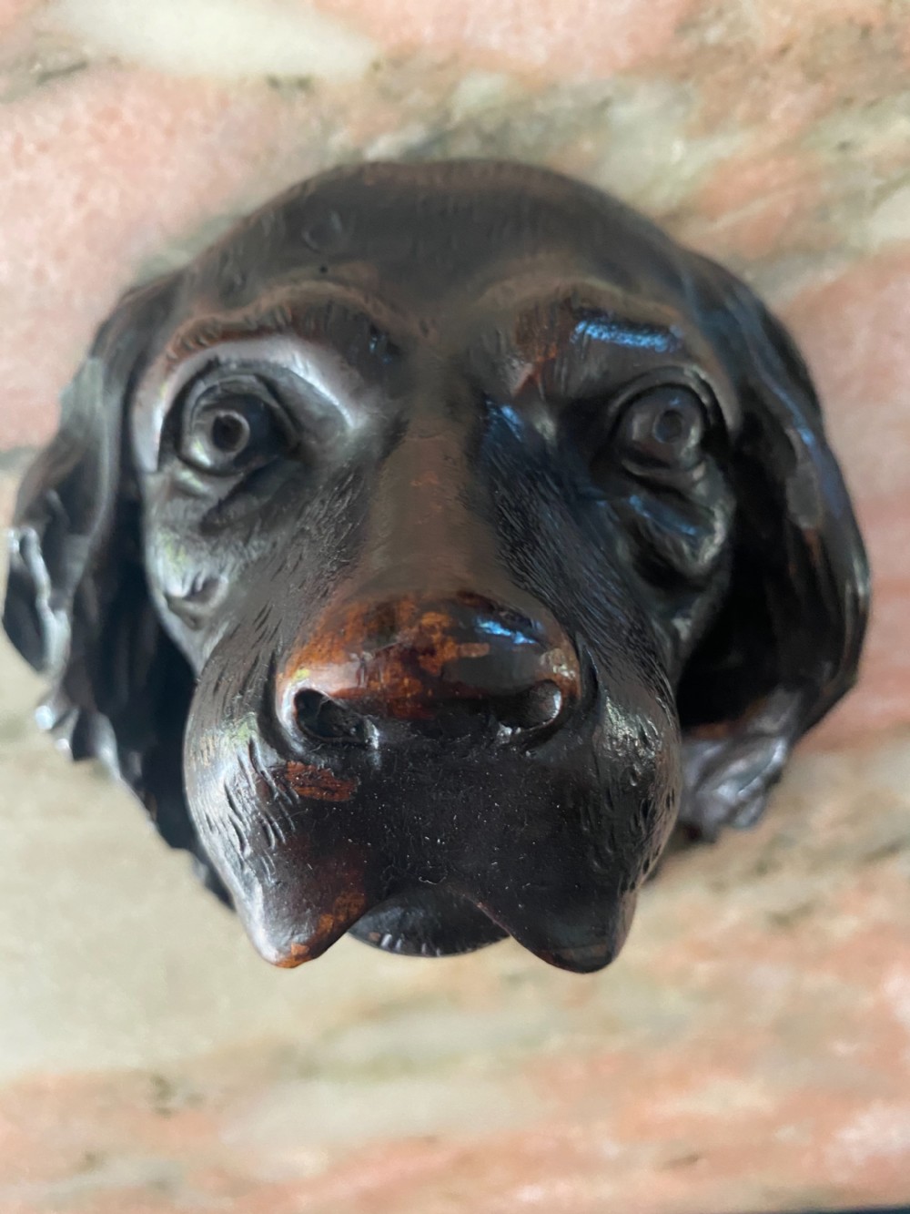 19th Century Black Forest Dog Head Spaniel Carved Walnut