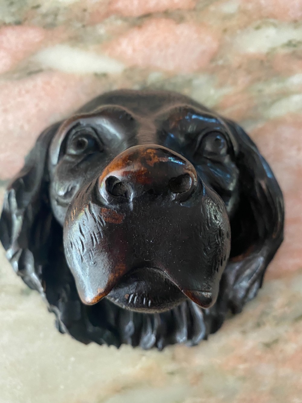 19th Century Black Forest Dog Head Spaniel Carved Walnut View II