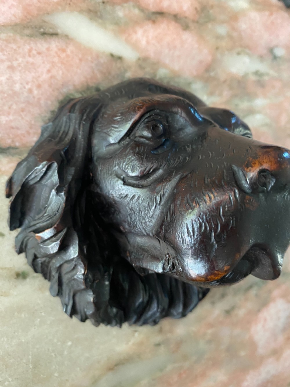 19th Century Black Forest Dog Head Spaniel Carved Walnut View III