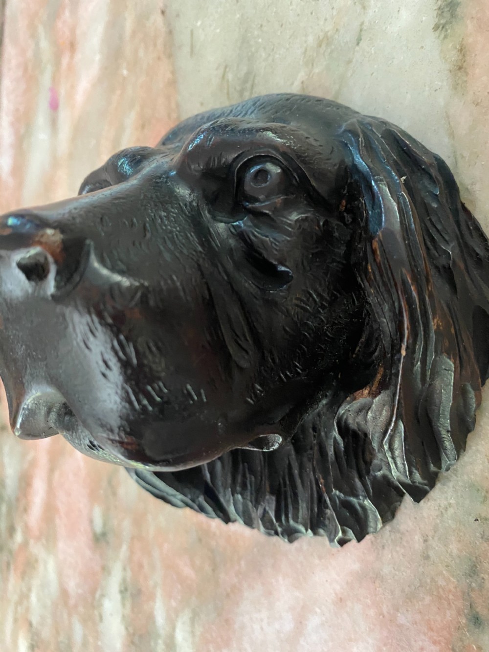 19th Century Black Forest Dog Head Spaniel Carved Walnut View IV