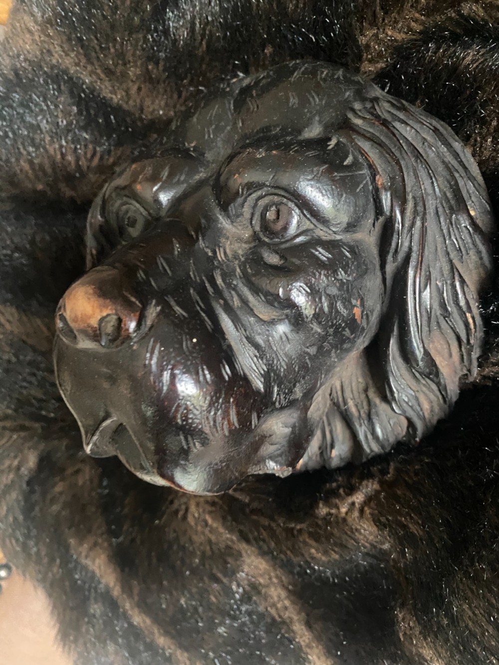 19th Century Carved Walnut DOG's head  View III