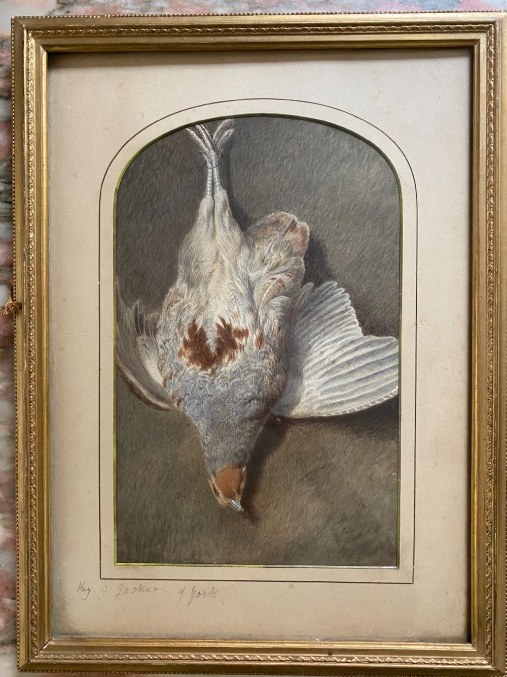 19th Century Fine Still Life Watercolour of a Partridge Bird .