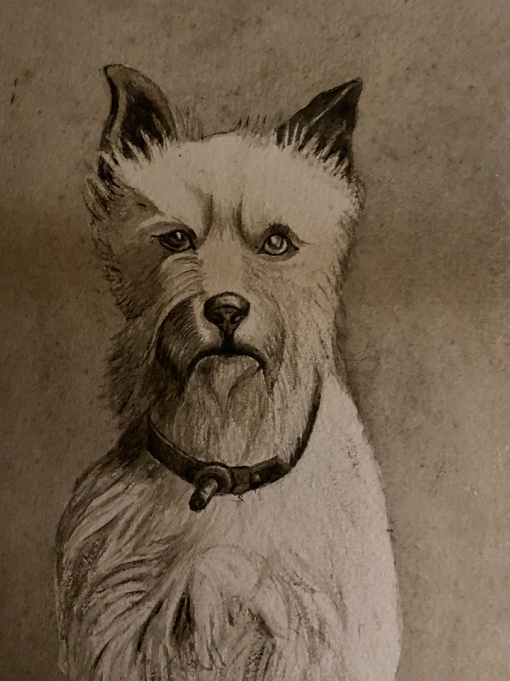 Charming Folk Art 19th Century Sepia  Watercolour Dog and Cat View III