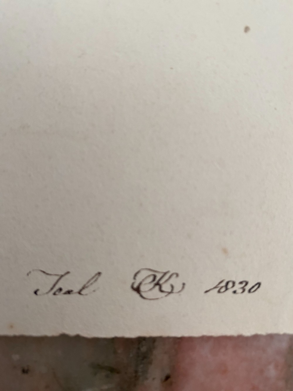 19th Century Fine Watercolour Teal Duck 1830 Monogrammed View III