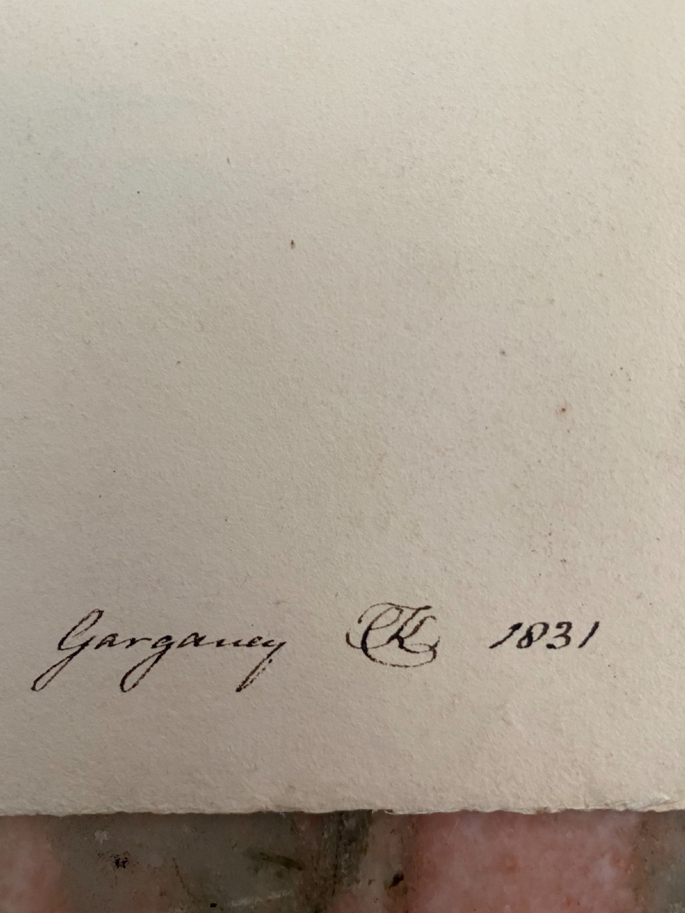 19th Century Watercolour Painting Garganey Duck 1831 Monogrammed View III