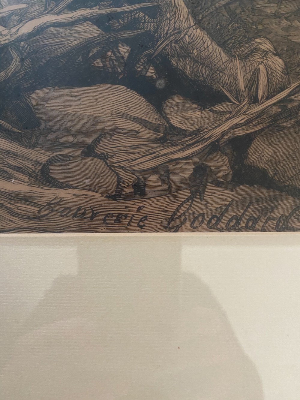 George Bouverie Goddard Tiger at Bay Etching Oak Gothic Frame View II