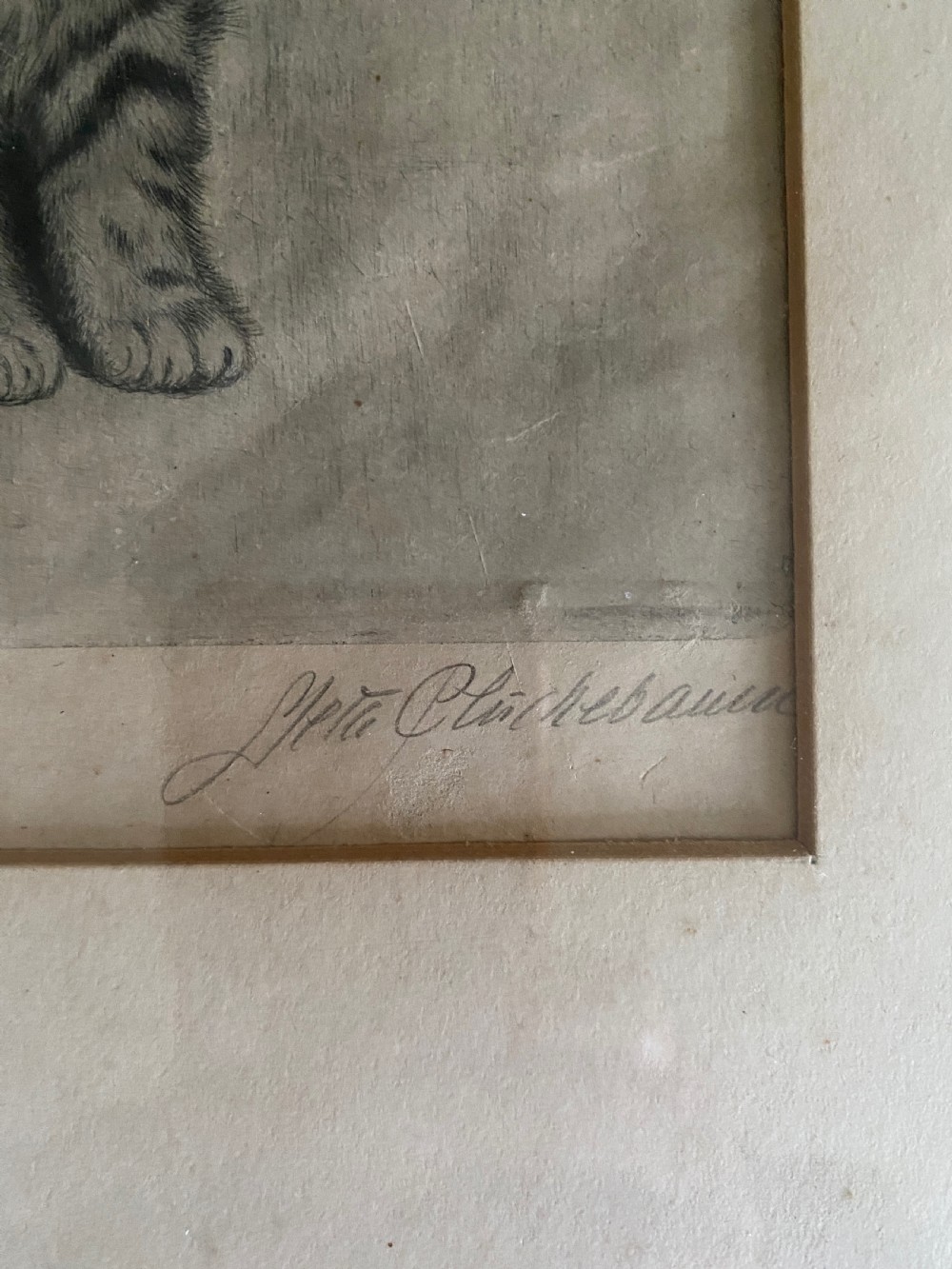 Antique Drawing of a Kitten & Bee Signed View III