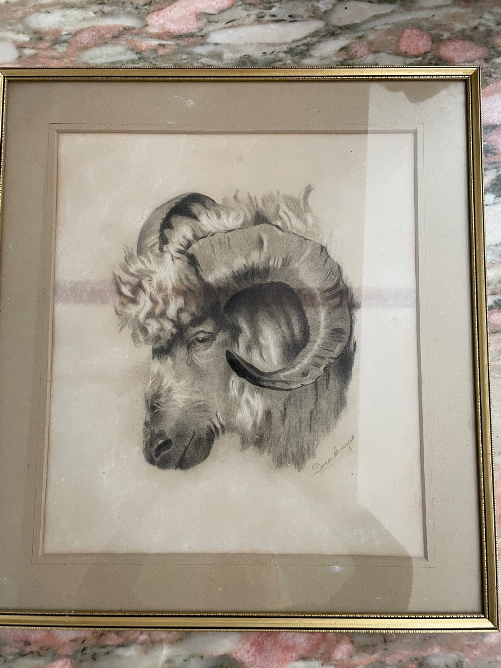 19th Century Drawing of a Ram,  signed.  
