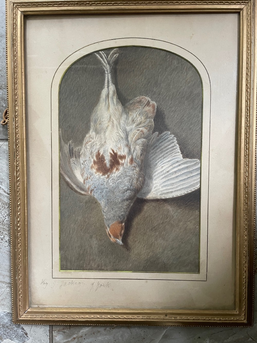 19th Century Fine Still Life Watercolour of a Partridge Bird Painting