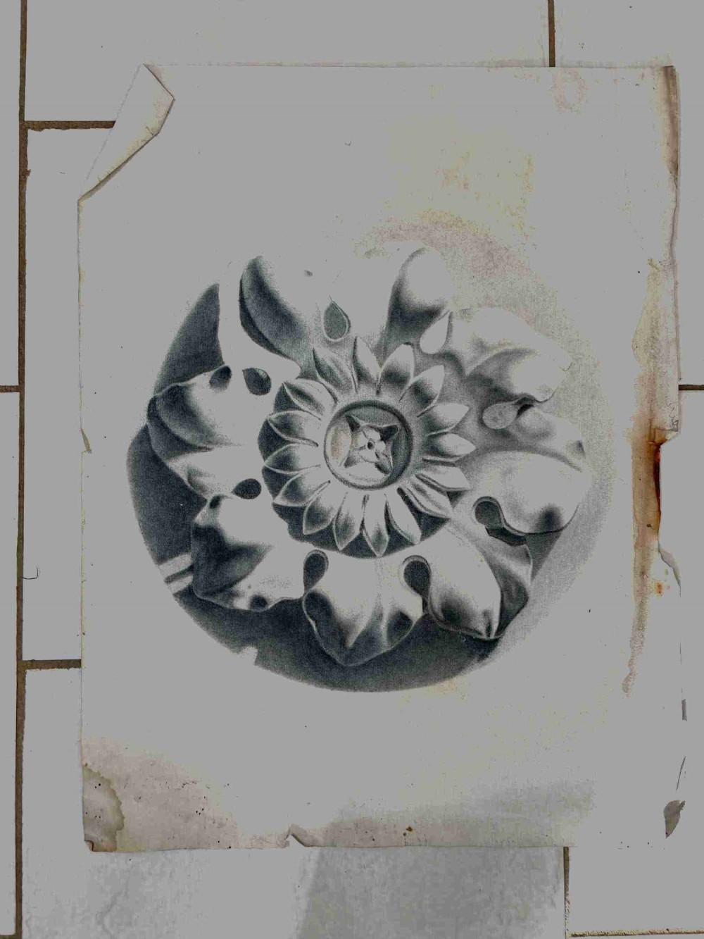 19th Century Drawing Architectural Tudor Rose Moulding
