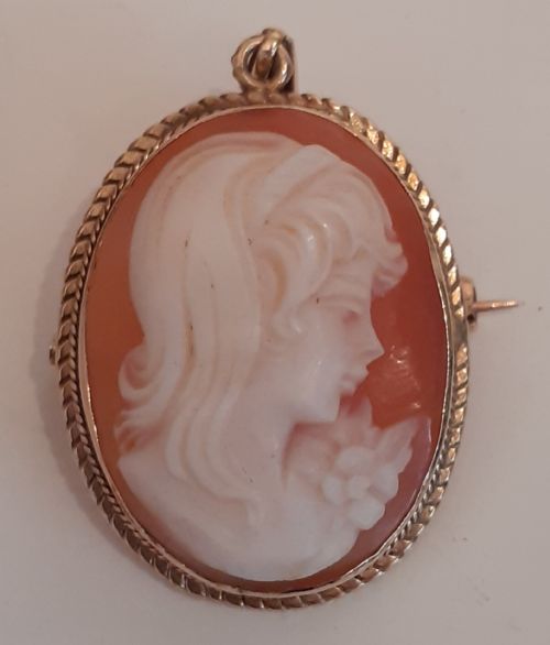9 Carat Gold Cameo Brooch and Pendant, London 1900
