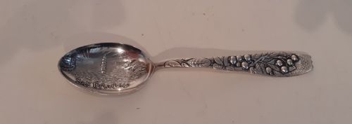 American Silver Collectors Spoon, San Francisco 1892