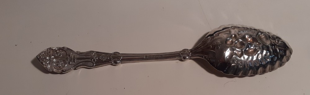 A Victorian silver plated berry spoon with an embossed fruit pattern bowl resting inside a black presentation case. View III