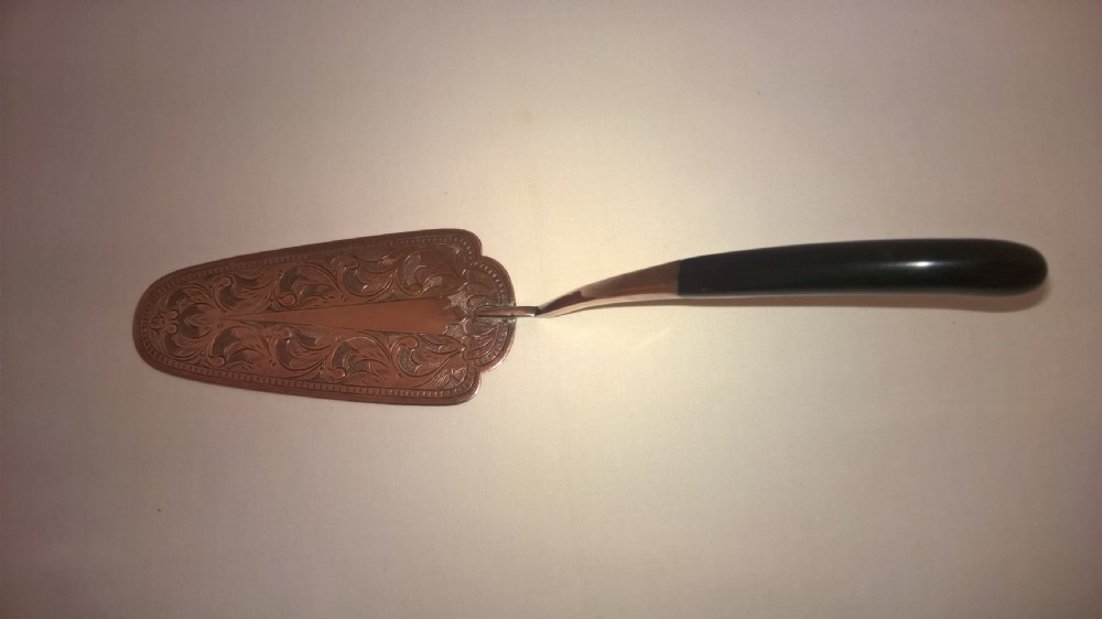 Georgian Cake Slicer with Whale Bone Handle View IV