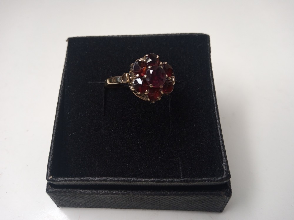 Nine Carat Gold Ring with Garnets View VI