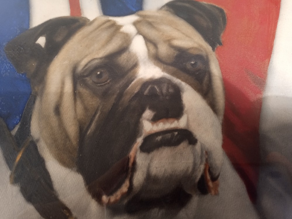 A framed 1940s portrait depicting an English bulldog sitting in front of a Union Jack flag inside a dark wooden frame. View II