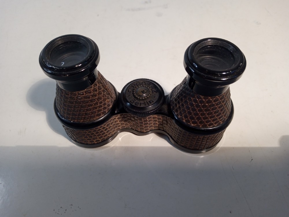 Early 1900's Lizard Skin German Opera Glasses View V