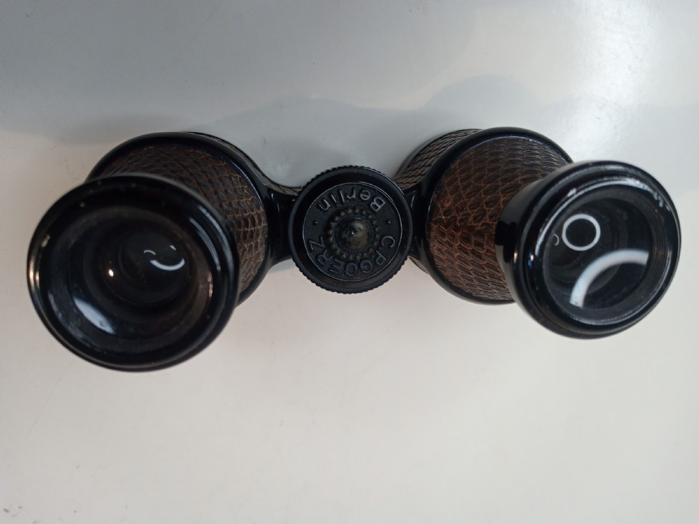 Early 1900's Lizard Skin German Opera Glasses View VI