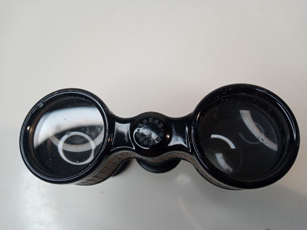 Early 1900's Lizard Skin German Opera Glasses View VII