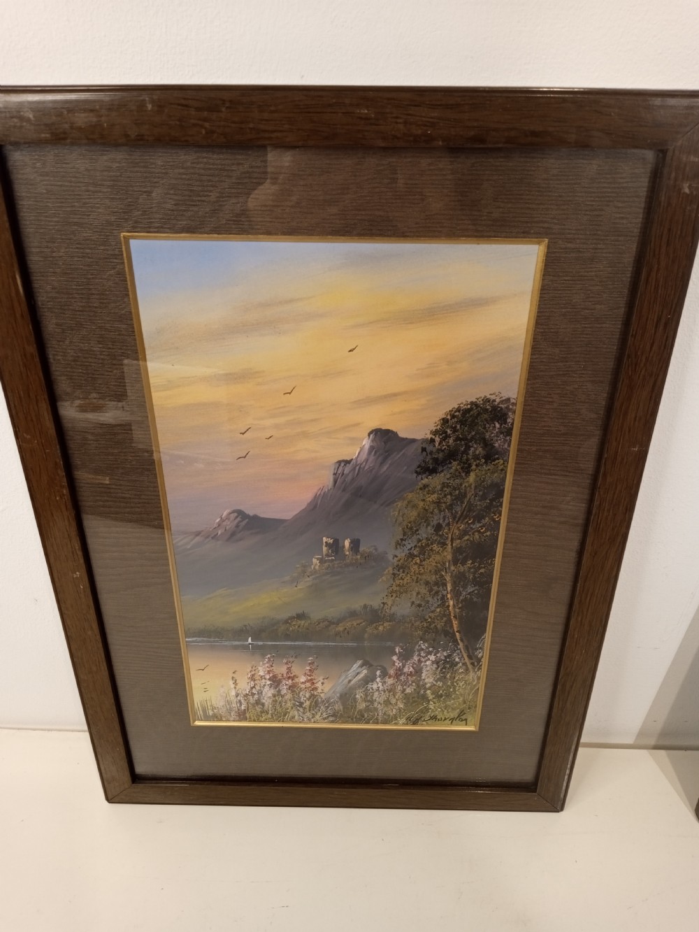 A pair of framed early 20th-century gouache landscape paintings depicting mountainous scenes with bodies of water framed in dark wooden mounts and frames. View VII
