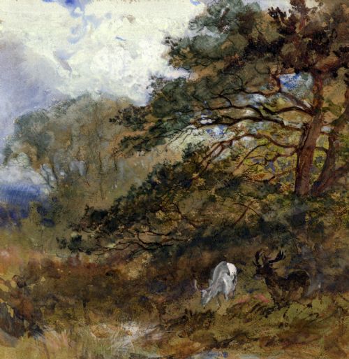 fig 1. Attr. Verso HAYWOOD HARDY Original Watercolour Painting Stags Woodland Landscape