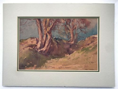 Fred Lawson Signed Original English Vintage Watercolour Painting Yorkshire Tree Study Landscape