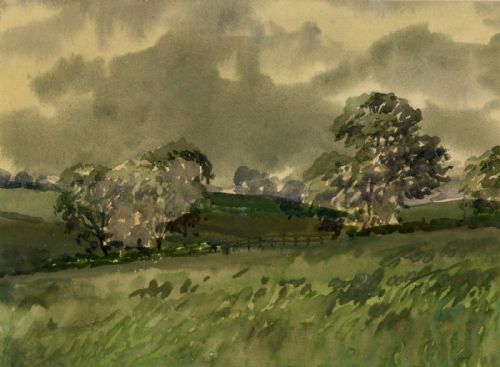 Joseph Appleyard Original Watercolour Painting Yorkshire Meadow & Tree Landscape