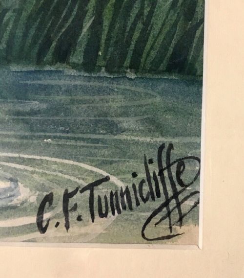 fig 2. C F Tunnicliffe Signed Dated 1966 Original Watercolour British Wildlife Painting Osprey & Trout English Landscape
