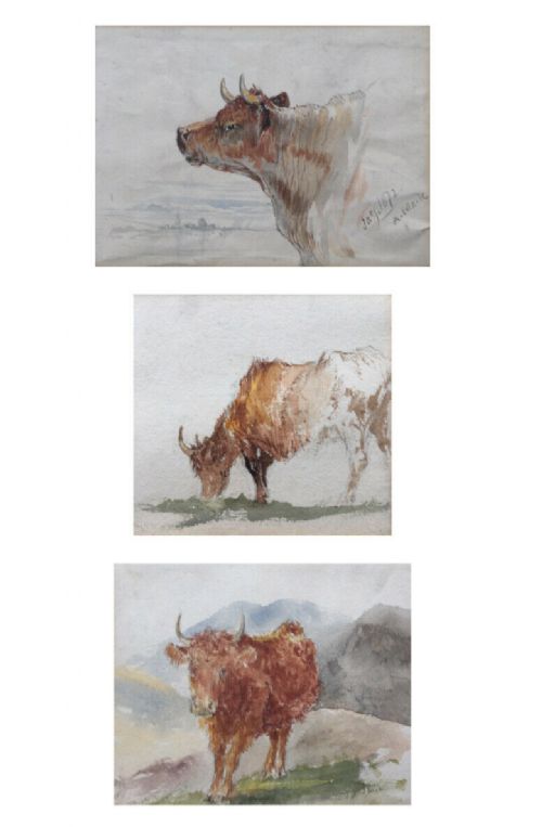 Signed a Maile 1872 Three Original Antique Watercolour Paintings Cattle Studies (Various Sizes)