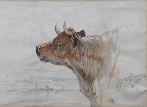 fig 1. Signed A Maile 1872 THREE Original Antique Watercolour Paintings Cattle Studies (various sizes)