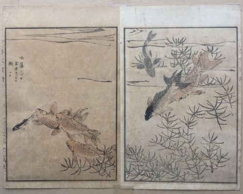 Pair of Antique Japanese Hand Coloured Woodblock Prints of Goldfish with Script Presented in Mount