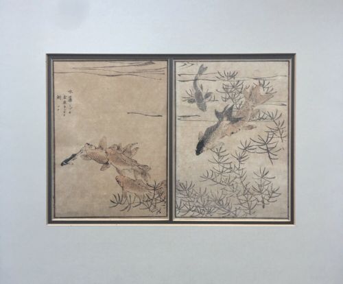 fig 1. Pair of Antique Japanese Hand Coloured Woodblock prints of Goldfish with Script Presented in Mount