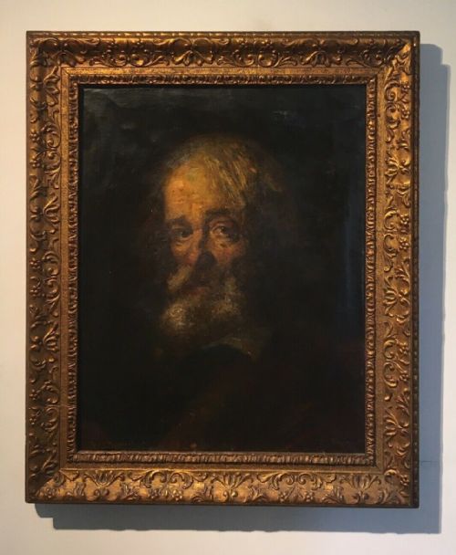 Bolognese School Antique Oil Painting on Canvas Portrait of a Bearded Man Signed Da Rembrandt
