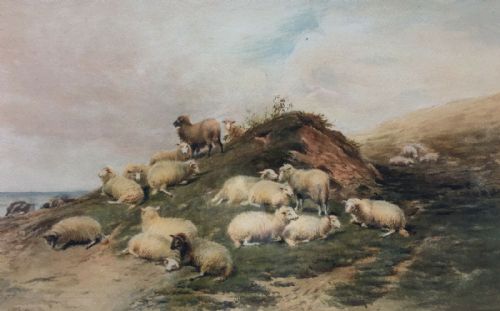 Manner of Thomas Sidney Cooper Original Antique Watercolour Painting Sheep on a Grassy Knoll English Landscape
